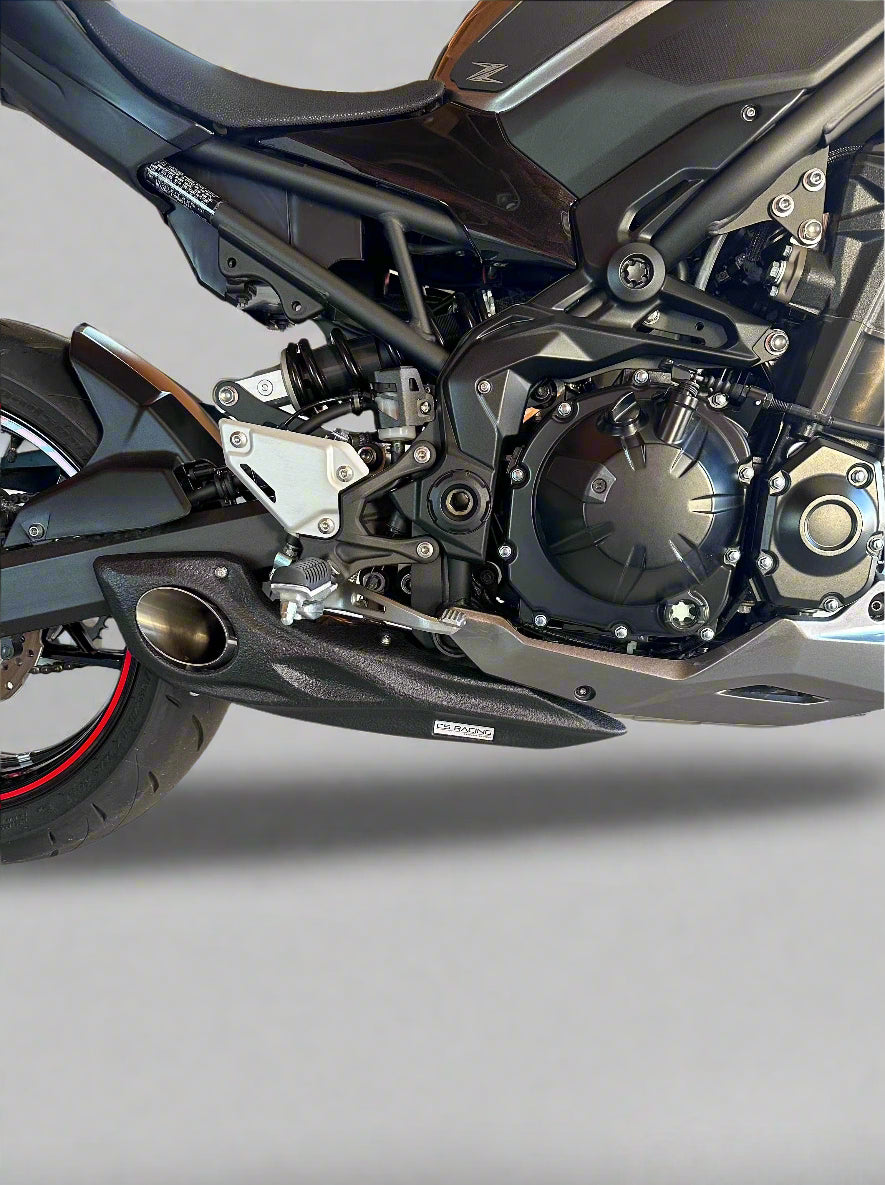 2025 Kawasaki Z900 CS Racing Full Exhaust