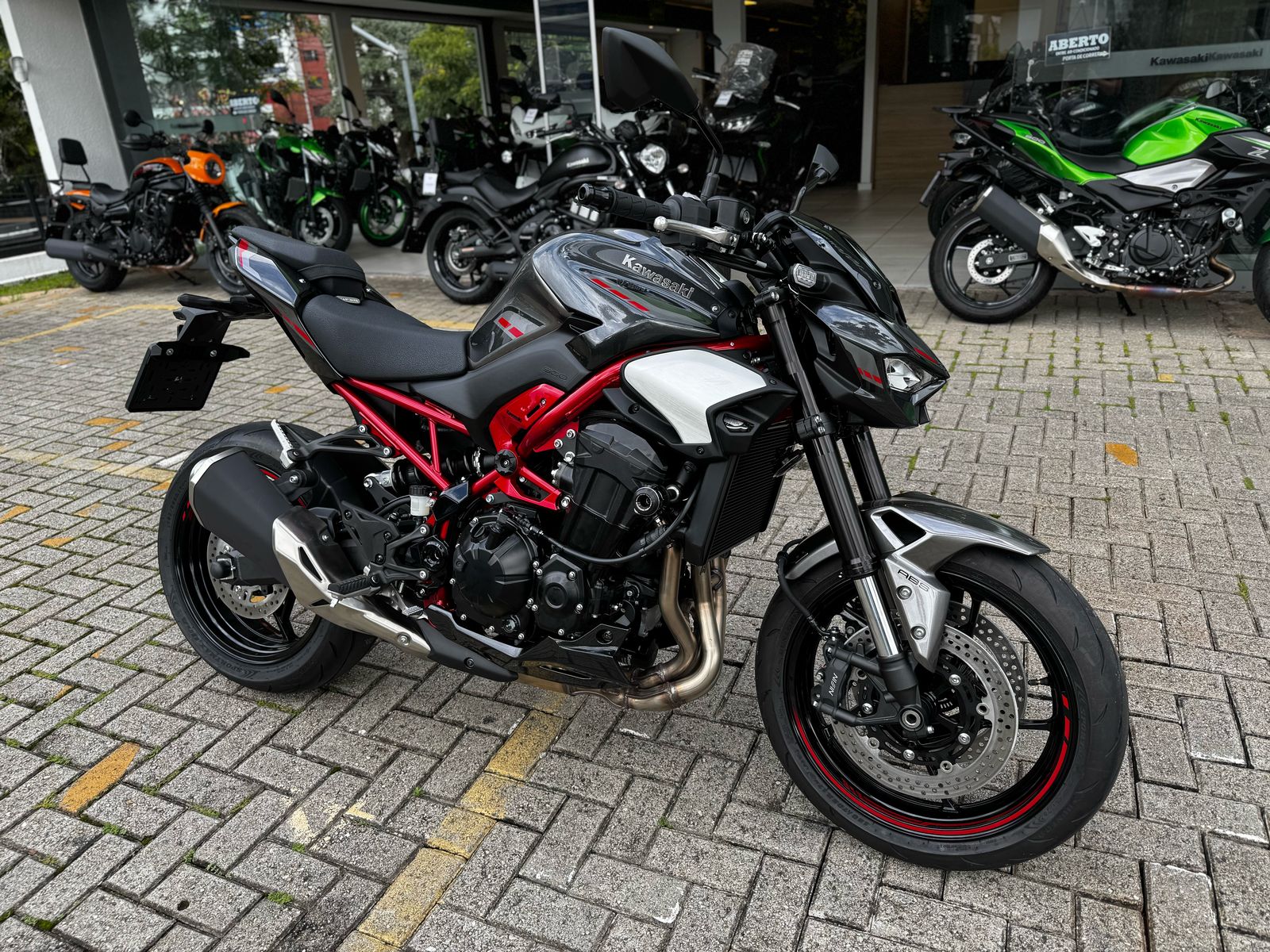 Slider telaio Procton F1 - Kawasaki - Z900 /SE/R/RS CAFE (2017-up)