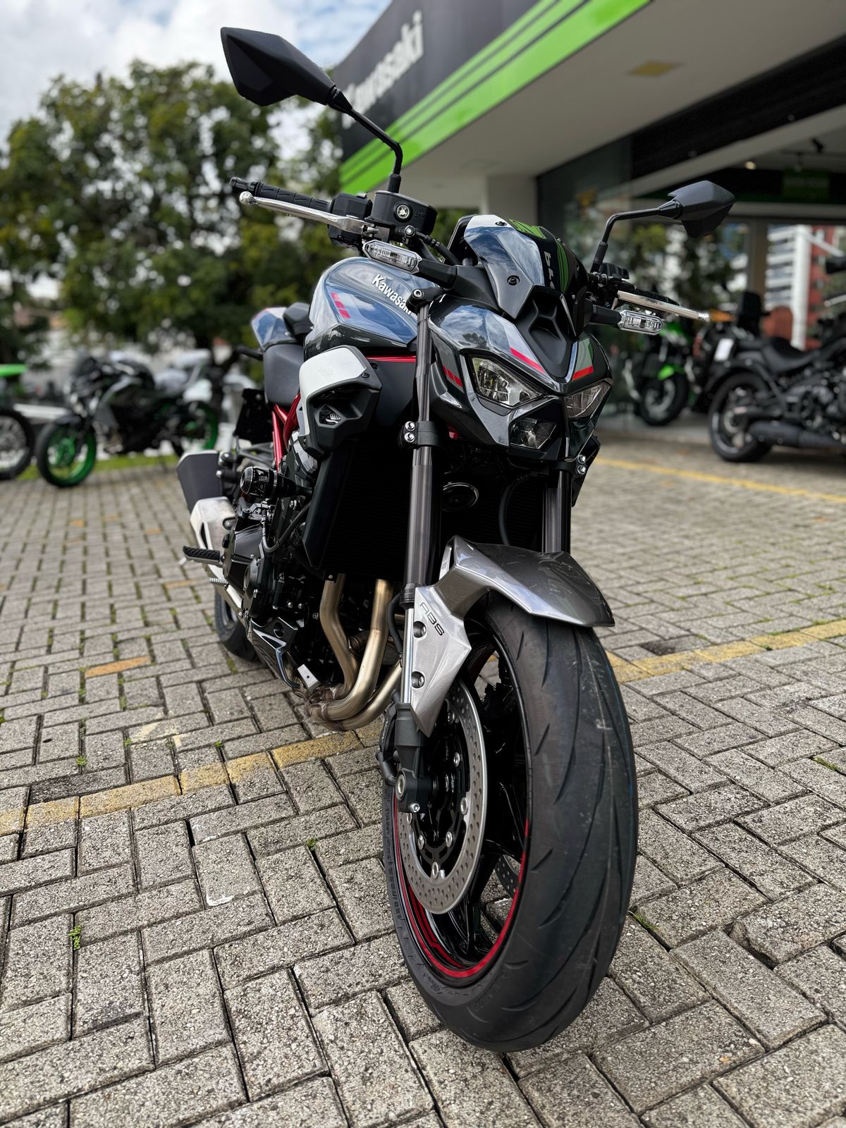 Slider telaio Procton F1 - Kawasaki - Z900 /SE/R/RS CAFE (2017-up)